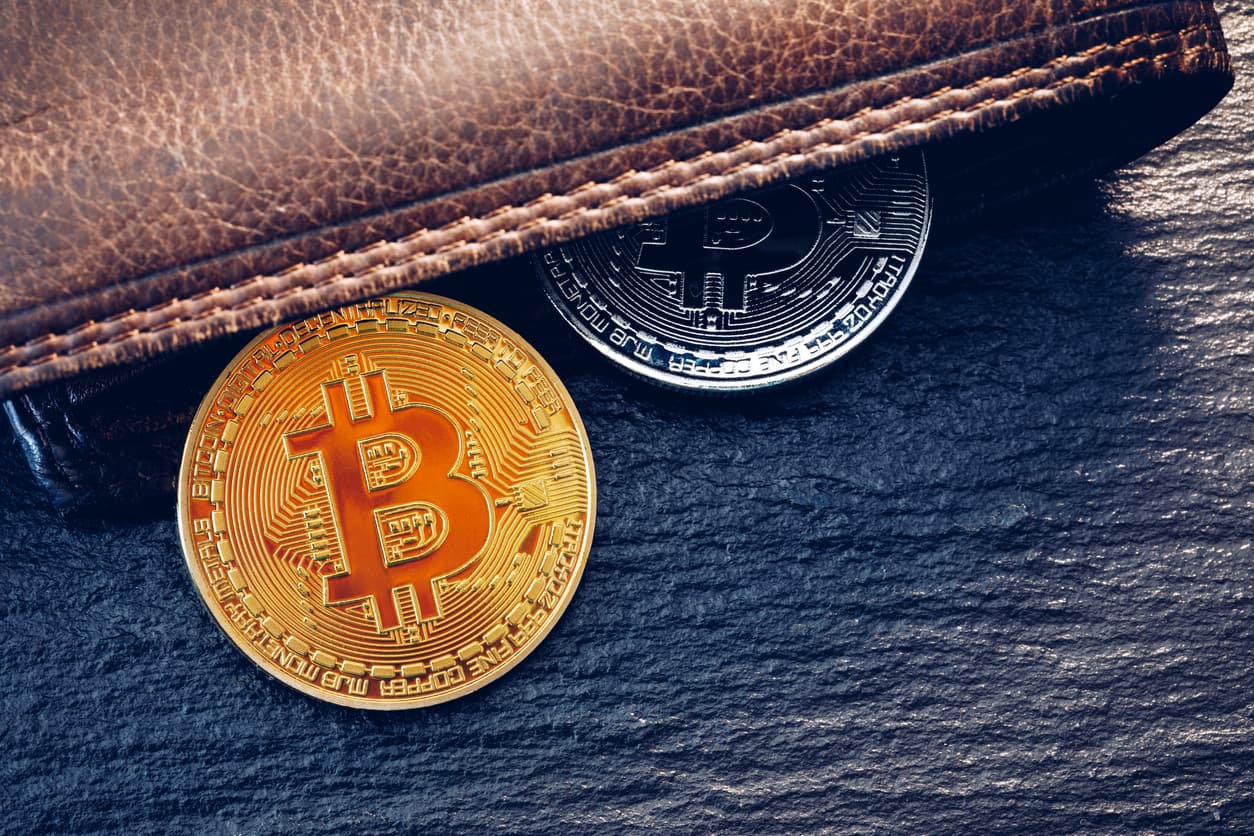 As carteiras para criptomoedas, conhecidas como wallets, são plataformas de armazenamento onde pode guardar Bitcoin (BTC), Et