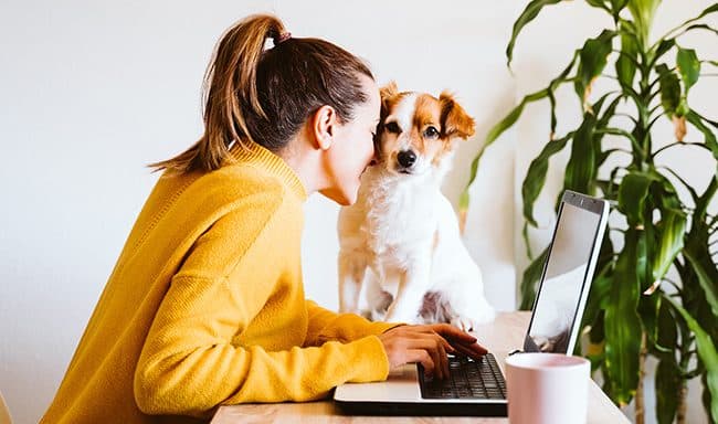 Despesas com animais no IRS: o que deduzir e quais as regras