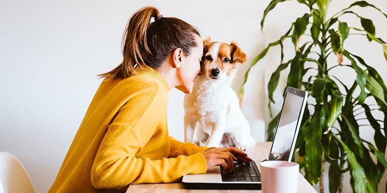 As despesas com animais podem ser deduzidas no IRS, mas só em situações específicas e há limites às deduções.
