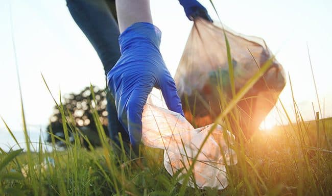 Limpeza de terrenos: quais as regras e prazos a cumprir