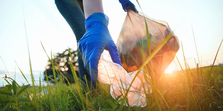 A limpeza de terrenos é obrigatória para quem tem terrenos em zonas rurais. Saiba como a fazer e quais as coimas por incumpri