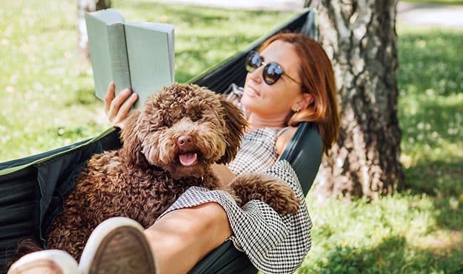 8 dicas para passar férias com animais de estimação
