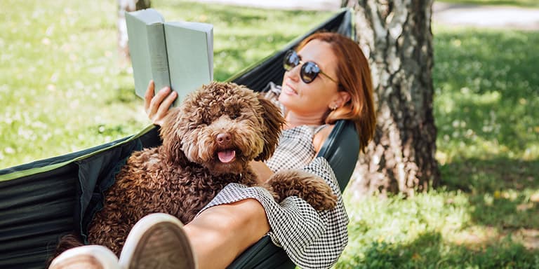 Está a pensar ir de férias com animais de estimação? Saiba como planear uns dias de descanso com o seu patudo.
