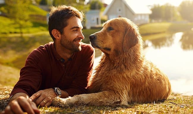 Como proteger os animais durante uma catástrofe natural