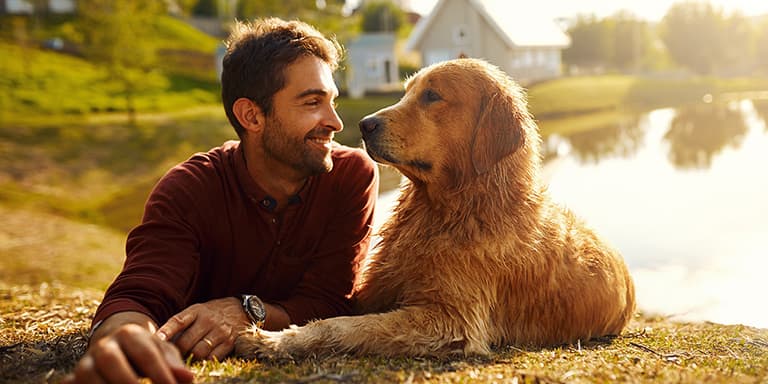 Conheça 13 dicas importantes para proteger os animais caso aconteça um desastre ou uma catástrofe natural.
