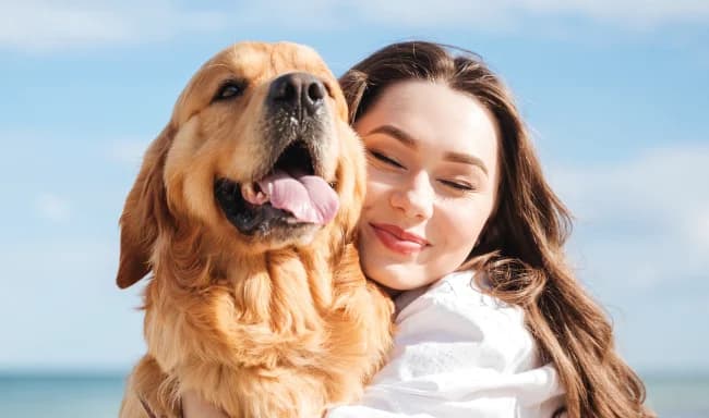 Ter um animal de estimação: guia essencial para novos donos