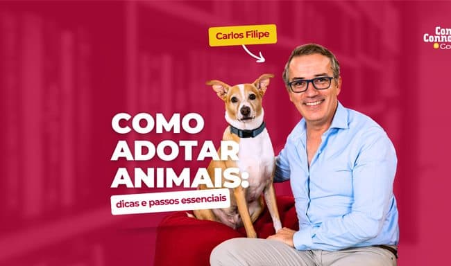 Como adotar animais: dicas e passos essenciais