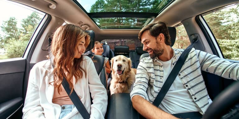 Se está a pensar fazer uma viagem de carro, saiba o que deve ter em conta para garantir que viaja em segurança e com tranquil