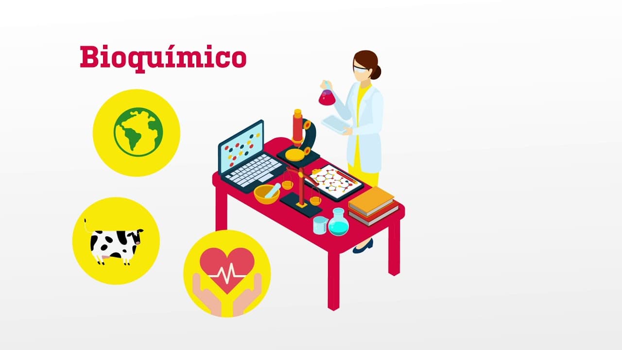 São ocupações que exigem pouco contacto humano e, na maior parte dos casos, exigem especialização e, por consequência, remune