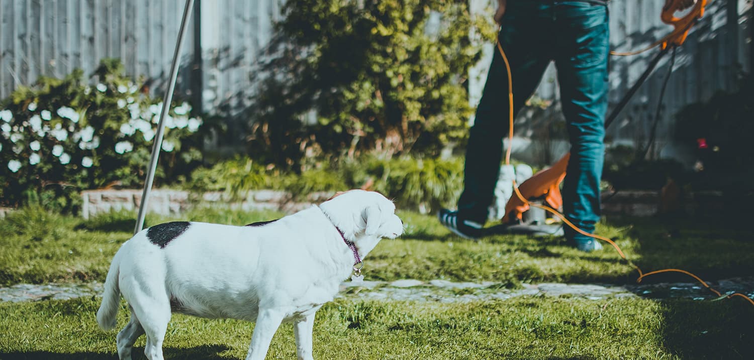 Tem empregados domésticos, como uma empregada de limpeza ou um jardineiro? Então saiba que fazer um seguro de acidentes pesso