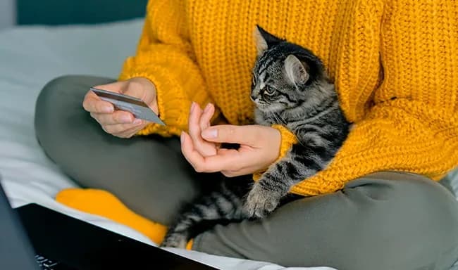 Como poupar nas despesas com animais de estimação