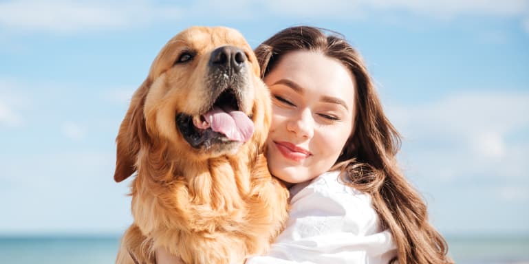 Está a pensar ter um animal de estimação? Conheça os cuidados a ter, os custos e as responsabilidades para tomar uma decisão