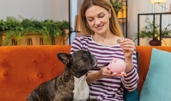 Cuidados e consultas veterinárias: 9 dicas para poupar dinheiro