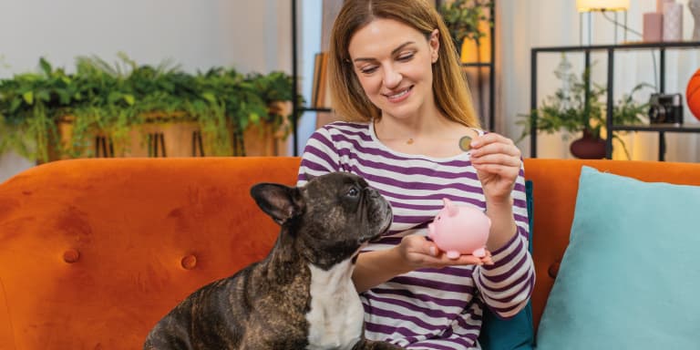 Saiba como reduzir os custos com consultas veterinárias sem colocar em risco a saúde e o bem-estar do seu animal de estimação